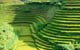 Sapa