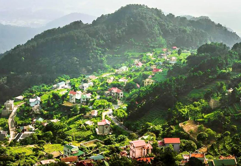Khám Phá Tam Đảo Từ A - Z: Hành Trình Tuyệt Vời Cho Kỳ Nghỉ Hoàn Hảo Tại Thiên Đường Núi Rừng