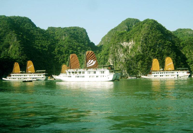 Những tour du thuyền sang trọng trên vịnh Hạ Long