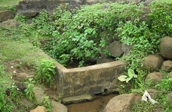 Giếng Múc ở An Nha (nằm trong hệ thống giếng Trạng) trước đây chuyên dùng để lấy nước sinh hoạt
