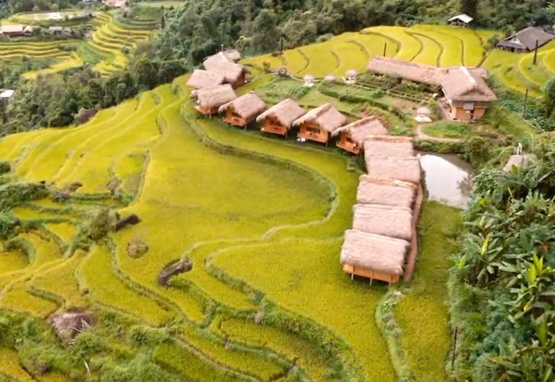 Hoàng Su Phì Lodge - Top homestay ngắm ruộng bậc thang đẹp ở Hà Giang