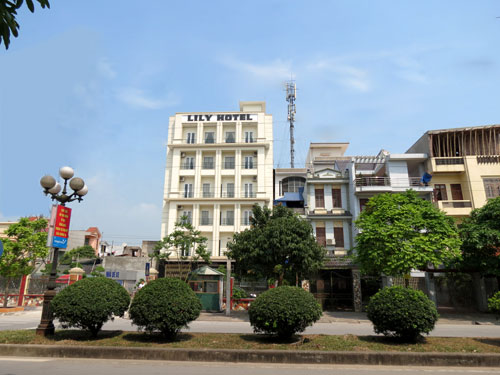 Lily Hotel