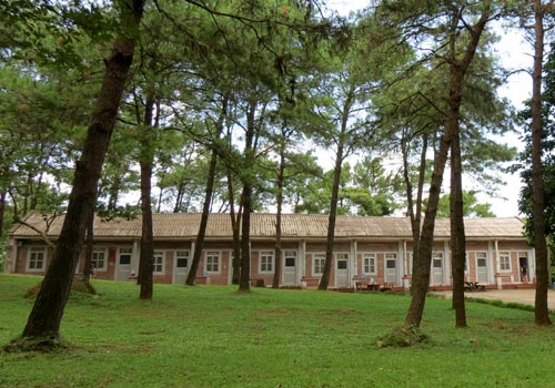 Khách sạn khu rừng thông