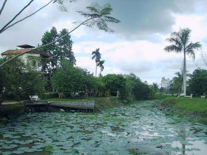 Bưng Đá Nổi - Lung Cột Cầu Cần Thơ