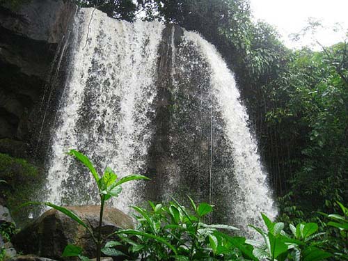 Thác Voi Bình Phước