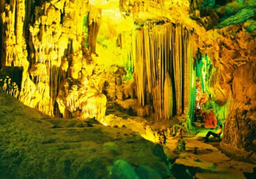 Công ty TNHH Quảng Bình Tourist