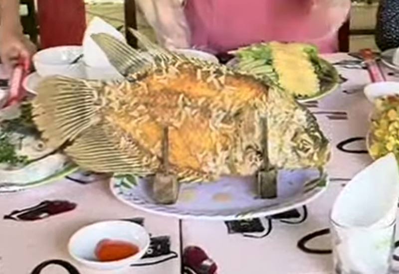 Nhà Hàng Xứ Dừa - Ẩm thực sinh thái ở Xã Phú Nhuận, Thành phố Bến Tre