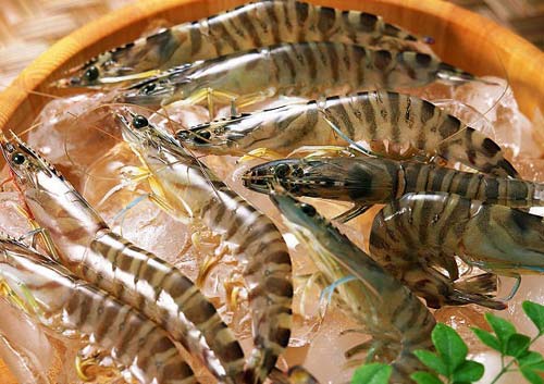Bún Tôm Đảo Cát Bà