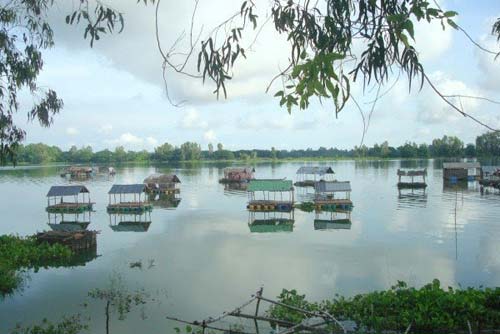 Búng Bình Thiên An Giang