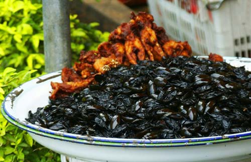 Cà Niễng Ninh Bình