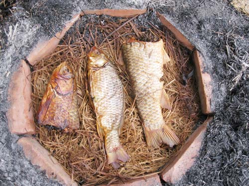 Cá nướng úp chậu Nam Định