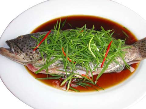 Cá Song Biển Cát Bà