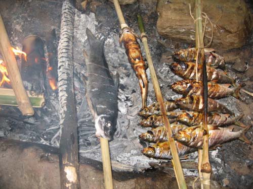Cá Suối Sapa