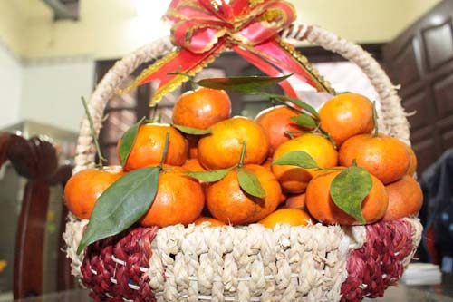 Cam Văn Chấn Yên Bái