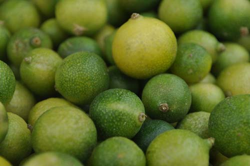 Chanh rừng Mẫu Sơn Lạng Sơn