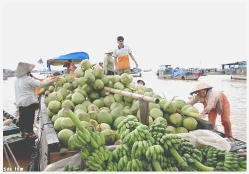 Công ty Du lịch Mê Kông Xanh