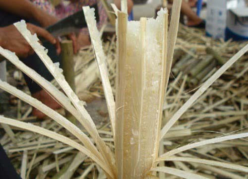 Cơm Lam Bắc Mê Hà Giang