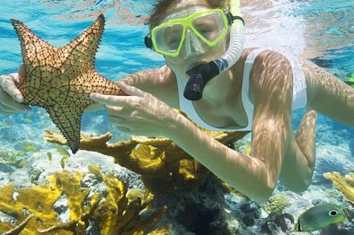 Công Ty Du Lịch Côn Đảo Explorer