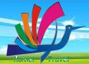 Công ty Du Lịch Hải Việt - Haiviet Travel