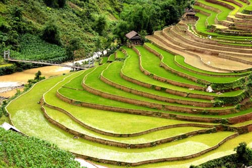 Công ty Thương Mại Du Lịch Yên Bái