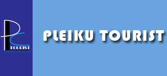 Công ty TNHH MTV Du Lịch Pleiku Tourist