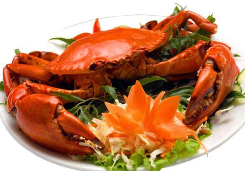 Cua Biển Hải Phòng