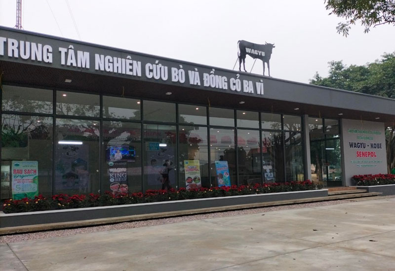 Cửa Hàng Giới Thiệu Sản Phẩm Thịt Bò Wagyu - Kobe - Senepol