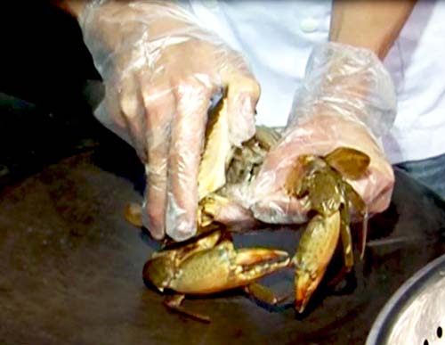 Cua rang muối Hải Phòng