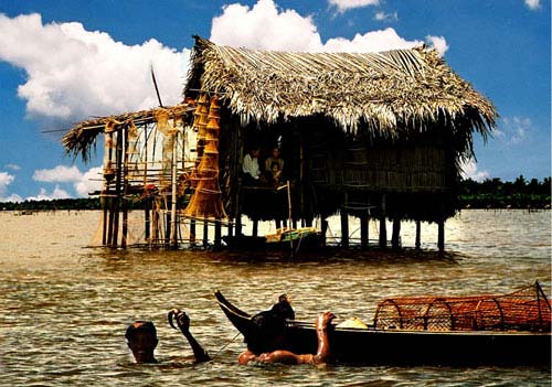Đầm Thị Tường Cà Mau
