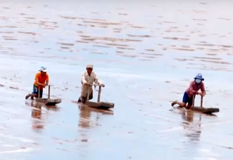 Du lịch Mỏ Ó - Trần Đề điểm du lịch hấp dẫn ở Sóc Trăng