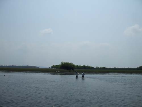 Đảo Nhím Tây Ninh