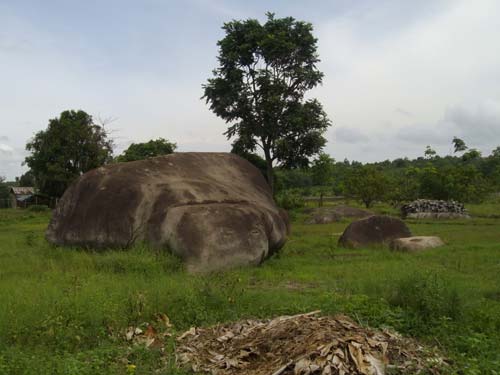 Đồi Bằng Lăng Bình Phước