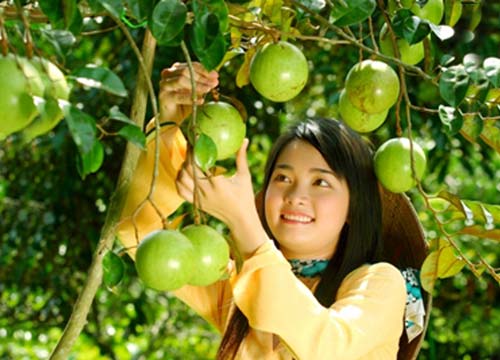 Du lich vườn Cần Thơ