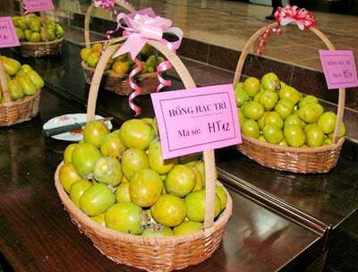 Hồng Hạc Trì Phú Thọ