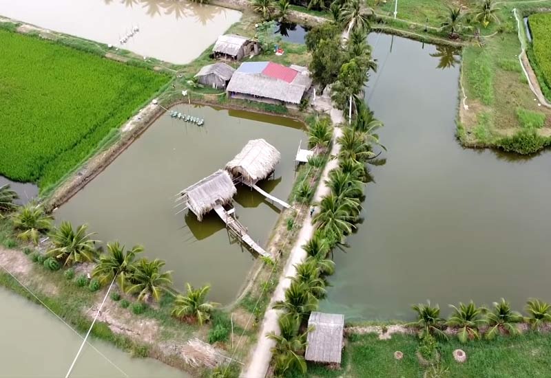 Cồn Chim - huyện Châu Thành