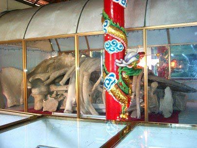 Lăng Cá Ông Bà Rịa Vũng Tàu