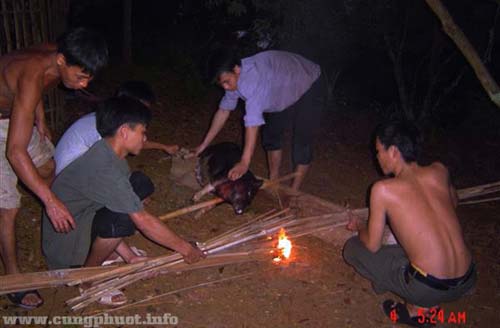 Lợn cỏ thui luộc Hòa Bình