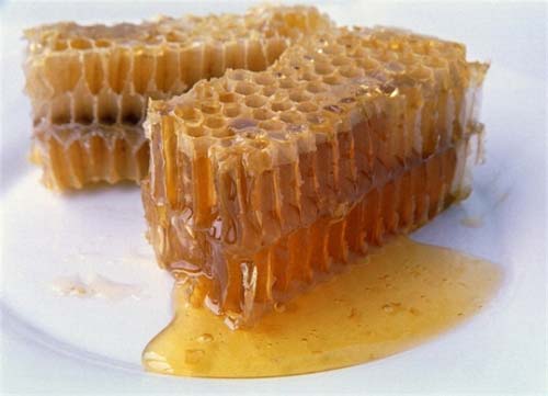 Mật ong rừng Bắc Kạn