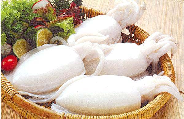 Mực Cát Bà