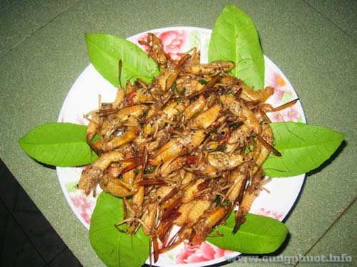 Muồm muỗm rang Mường Lò