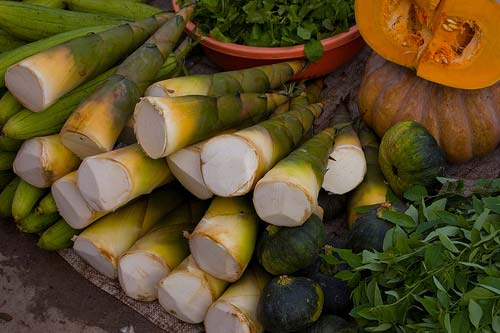 Nem măng đắng Lào Cai