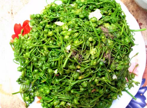 Nộm rau dớn Lai Châu
