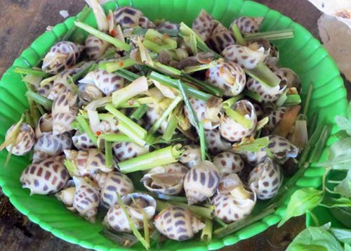 Ốc Hương Sông Cầu