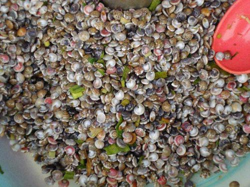 Ốc lể Đà Nẵng