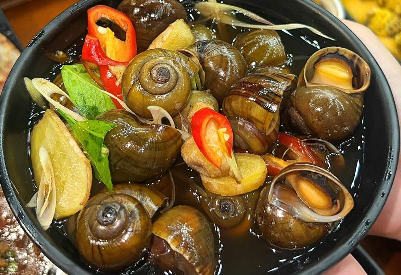 Thanh Ốc - 8 Phùng Hưng (nhỏ), Hoàn Kiếm, Hà Nội