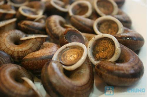 Ốc núi luộc Ninh Bình