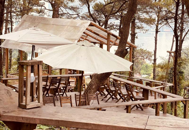 Thông Zeo Cafe - Xứ sở mộng mơ tại thành phố Hạ Long