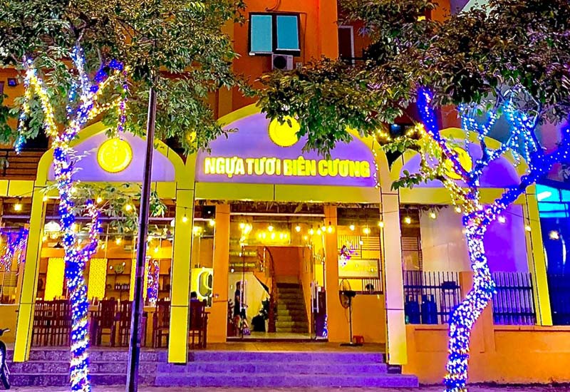 Ngựa Tươi Biên Cương - 12 Ngô Huy Quỳnh, Hà Nội