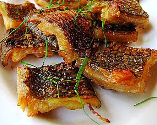 Rắn biển Cát Bà - phương thuốc quý từ biển khơi