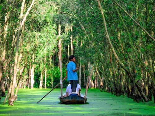 Rừng Tràm Nguyên Sinh Long An